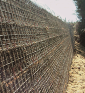 Wire Wall Finish Option: Vegetated, Structure 