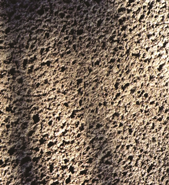 Wire Wall Finish Option: Shotcrete close-up